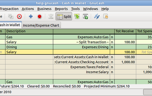 Account Register Display