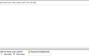 SafeBin.net screenshot 1