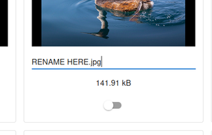 Rename a File from within the archive