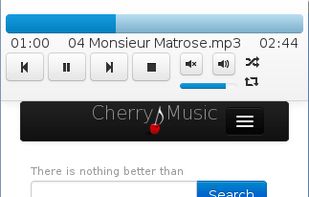 CherryMusic screenshot 1