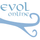 Evol Online icon