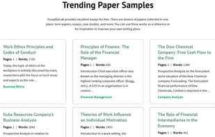 EssayBizLab screenshot 1