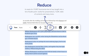 Shakespeare AI Toolbar screenshot 3