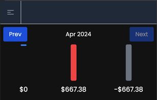 View daily spendings in detail