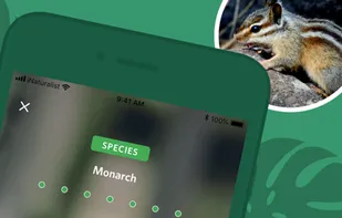 Seek by iNaturalist screenshot 2