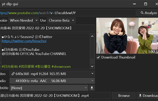 yt-dlp-gui screenshot 1