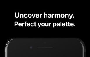 Cone Color Picker & Identifier screenshot 2