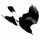 Magpie Git icon