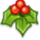 Holly icon