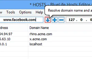 BlueLife Hosts Editor screenshot 1