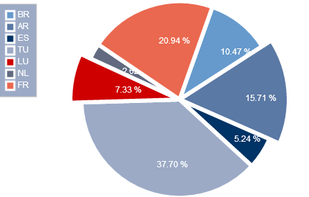 A pie chart with a detached piece and labels inside pie pieces.