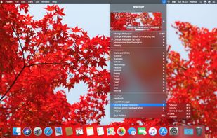 WallBot screenshot 1