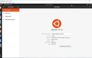 .NET VNC Viewer screenshot 1