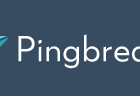 Pingbreak icon