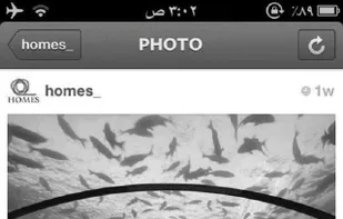 FunColor screenshot 1