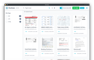 File search results view