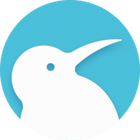 Kiwi Browser icon
