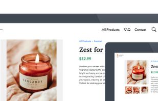 Example site built by GoCart