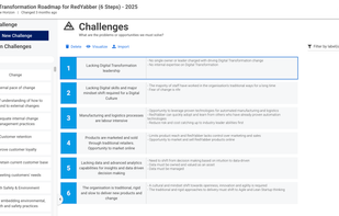 Determine and articulate your key challenges.