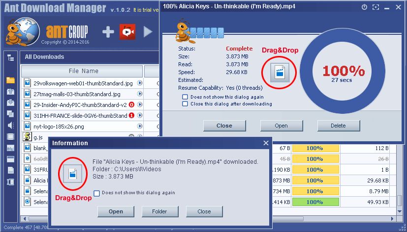 ant download manage