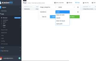 SashiDo.io screenshot 3