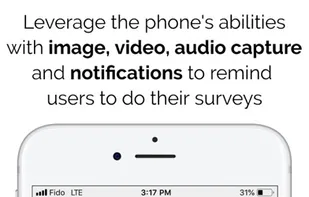 Confirmit screenshot 2