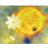 Unending Galaxy icon