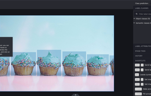 Hasty.ai screenshot 1
