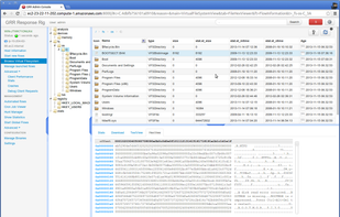 GRR Rapid Response screenshot 1