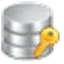 SQL Server Password Changer icon