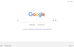 Google Search screenshot 1