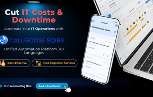 Callgoose SQIBS screenshot 1