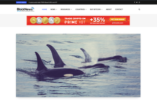 BlockNewsAfrica screenshot 1