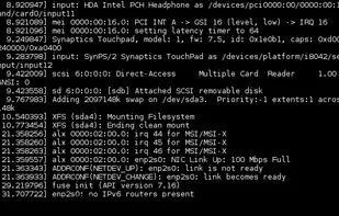 Linux-libre screenshot 1