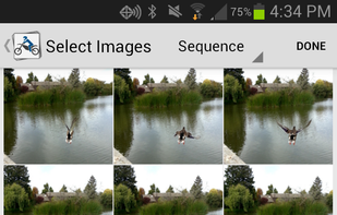 Pic Perfect screenshot 1