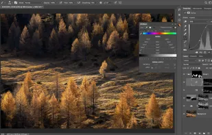 A view of the panel in action