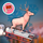 Animal Adventure: Downhill Rush icon