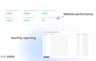WebCare - WordPress Maintenance screenshot 2