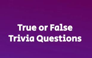 Quiz Challenge – Question Game screenshot 2