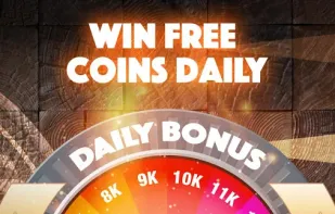 Backgammon Pasha screenshot 3