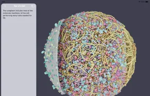 CellWalk screenshot 1