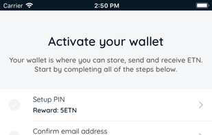 electroneum screenshot 2