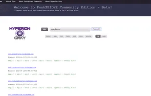PunkSPIDER screenshot 1
