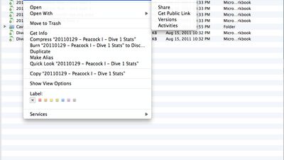 Finder Context menu on Mac (Lion)