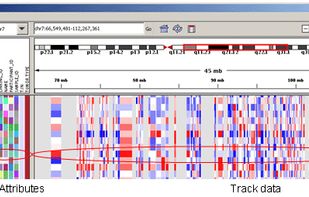  Integrative Genomics Viewer (IGV) screenshot 1