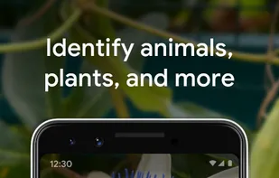 Google Lens screenshot 2