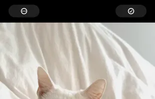 Obscura - Studio screenshot 1