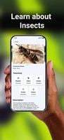 Bug ID screenshot 3