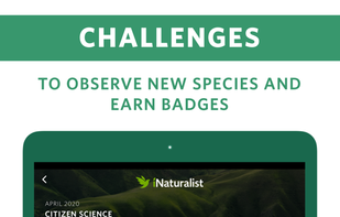 Seek by iNaturalist screenshot 3