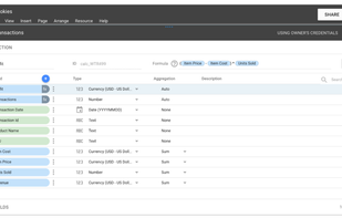 You can transform data on the fly, without modifying your original data source - even adding new dimensions and metrics based on custom formulas.